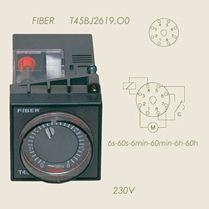 temporisateur Fiber T45.BJ.26.19.O0 220 V