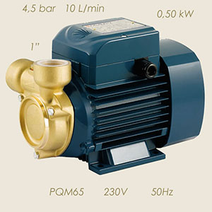Pedrollo pump PQM65 230/1/50 1"-1" brass head