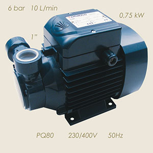 Pedrollo Pumpe PQ80 230/400/3/50 1"-1"