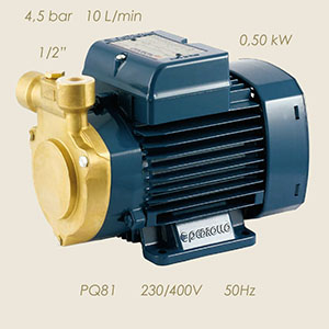 Pedrollo pump PQ81 230/400/3/50 1/2"-1/2" brass head