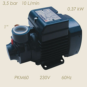 Pedrollo Pumpe PKM60 230/1/60 1"-1"
