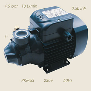 Pedrollo pump PKM65 230/1/50 1"-1"