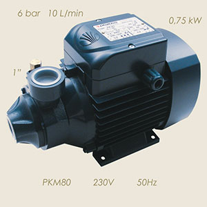 Pedrollo pump PKM80 230/1/50 1"-1"