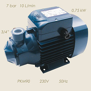 Pedrollo pump PKM90 230/1/50 3/4"-3/4"