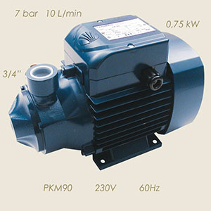 Pedrollo pump PKM90 230/1/60 3/4"-3/4"