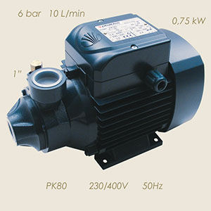 Pedrollo pump PK80 230/400/3/50 1"-1"
